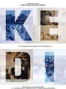 Kedi