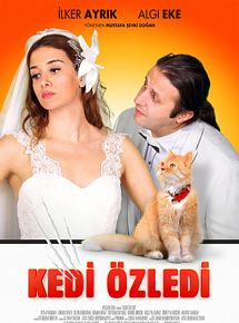 Kedi Özledi
