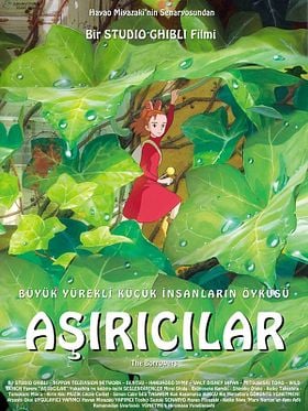 Aşırıcılar