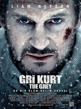 Gri Kurt