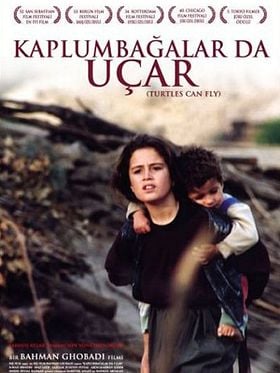 Kaplumbağalar da Uçar