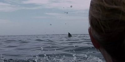 "Açık Deniz: Kafes Dalışı"ndan Türkçe Poster!
