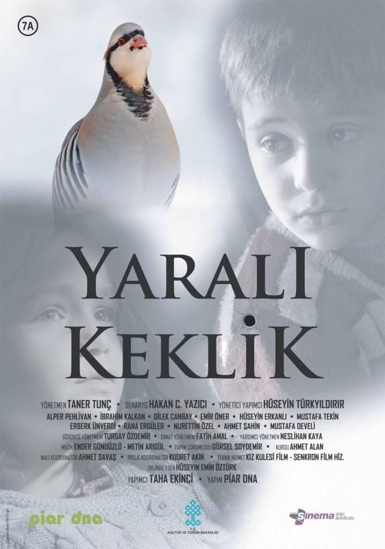 Yarali Keklik Film 2019 Beyazperde Com