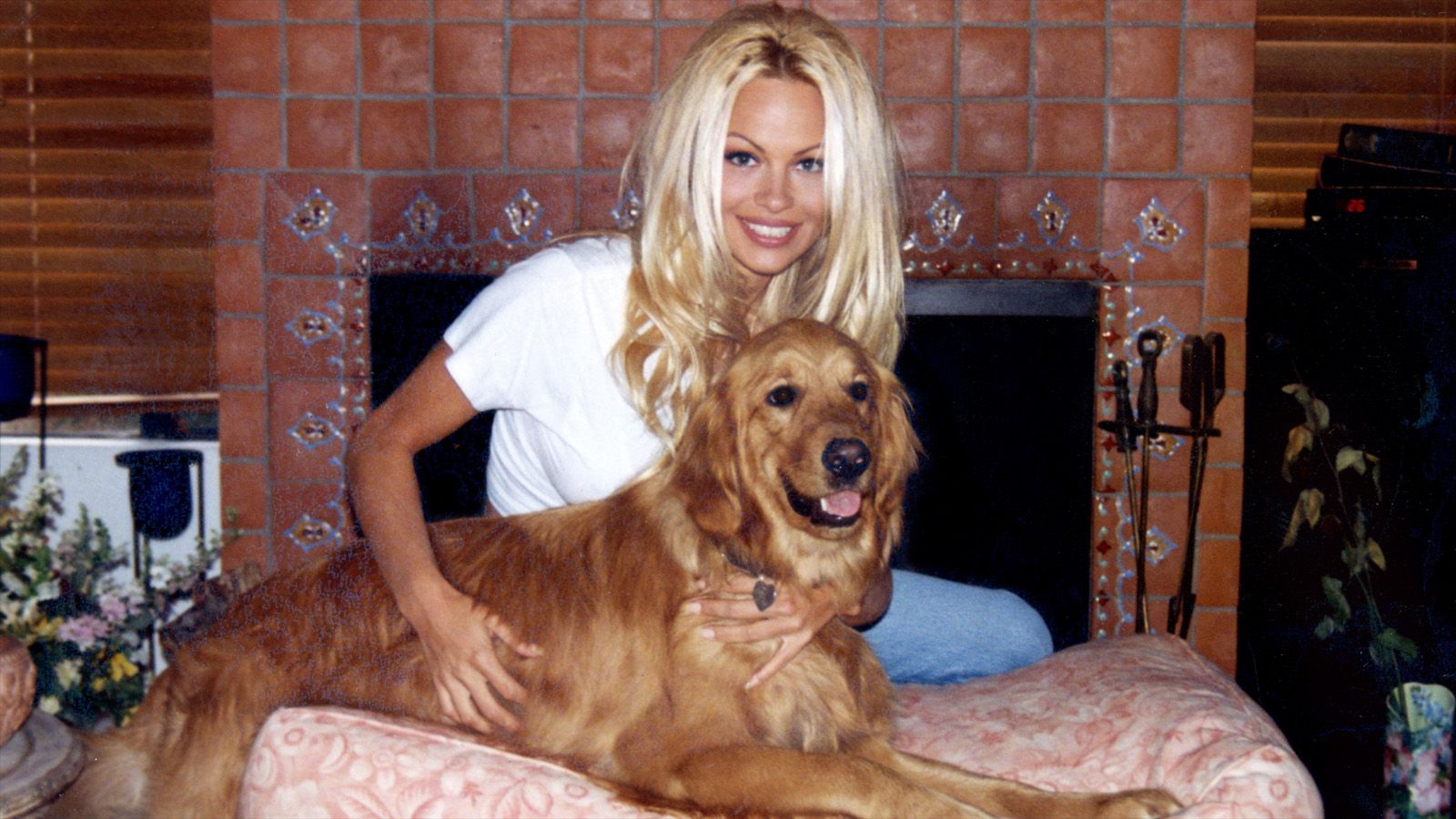 Pamela Anderson Bir Aşk Hikâyesi resimleri Fotoğraf 3 Beyazperde