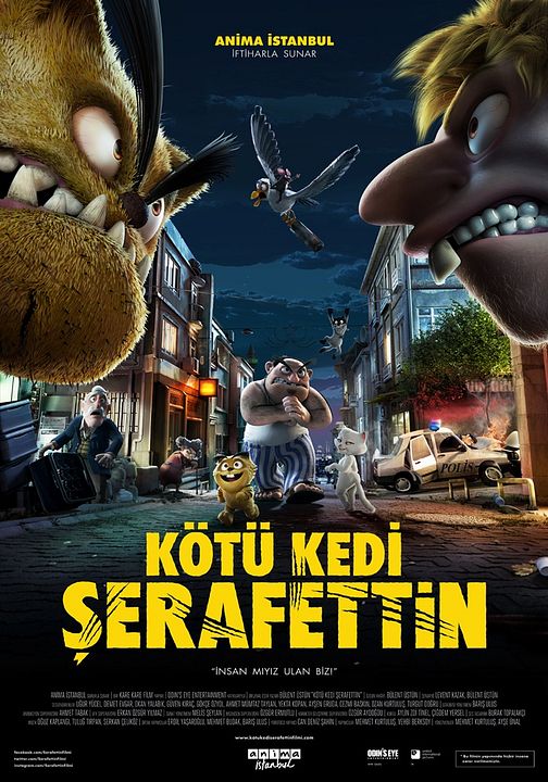 Kötü kedi Şerafettin�den İlk Kareler!
