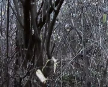 <strong>Karadedeler Olayı</strong> Dublajlı Fragman