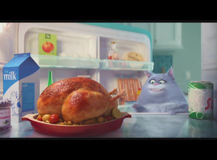 Evcil Hayvanların Gizli Yaşamı - Türkçe Dublajlı Fragman