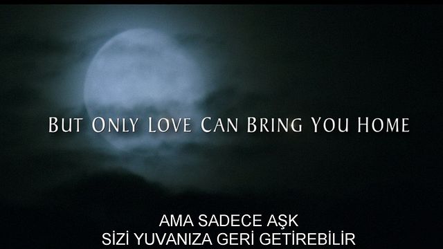 <strong>Sonsuzluk Ormanı</strong> Altyazılı Fragman