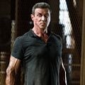 Fotoğraf Sylvester Stallone