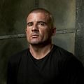 Fotoğraf Dominic Purcell