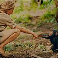 Fotoğraf Jane Goodall