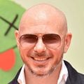 Fotoğraf  Pitbull