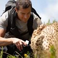 Fotoğraf Bear Grylls