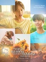 Midnight Sun posteri