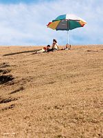 Zhi Wu Xue Jia posteri