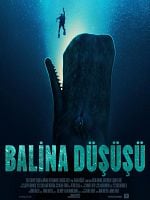 Balina Düşüşü posteri
