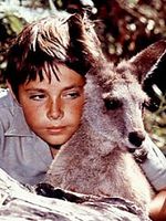 Skippy the Bush Kangaroo posteri