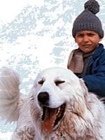 Belle et Sébastien posteri