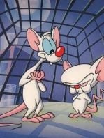 Pinky and the Brain posteri