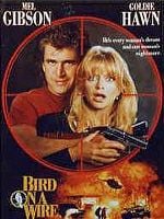 Bird on a Wire posteri