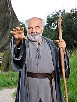 Merlin görüntüsü