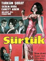 Sürtük posteri
