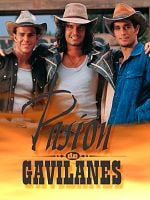 Pasión de gavilanes görüntüsü