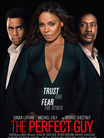The Perfect Guy posteri