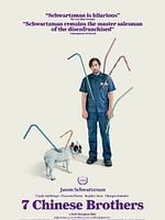7 Çinli Kardeş posteri