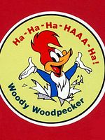 The Woody Woodpecker Show posteri