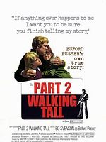 Kanunsuz Yol posteri