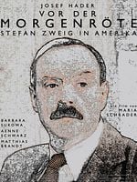 Şafak Sökmeden posteri