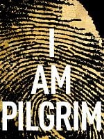 I Am Pilgrim posteri