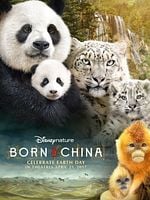 Born In China posteri