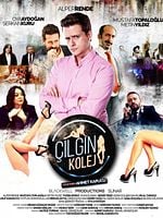 Çılgın Kolej posteri