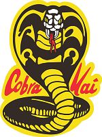 Cobra Kai görüntüsü