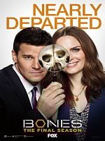 Bones posteri