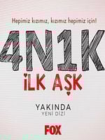 4N1K İlk Aşk posteri