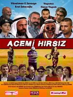 Acemi Hırsız posteri
