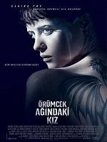 Örümcek Ağındaki Kız posteri