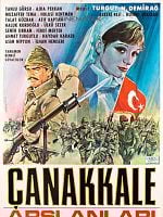 Çanakkale Arslanları posteri