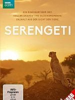 Serengeti görüntüsü