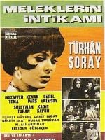 Meleklerin İntikamı posteri