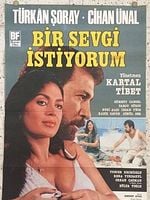Bir Sevgi İstiyorum posteri