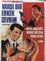 Vahşi Bir Erkek Sevdim posteri