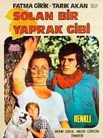 Solan Bir Yaprak Gibi posteri