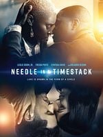 Needle in a Timestack posteri