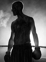 The Survivor posteri