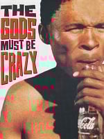 Tanrılar Çıldırmış Olmalı posteri