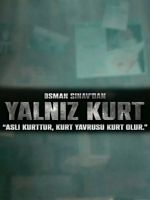 Yalnız Kurt posteri